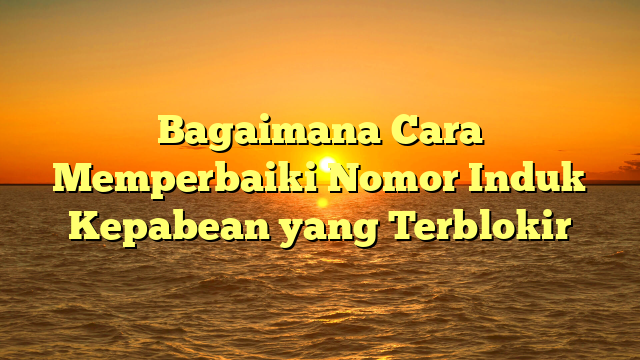 Bagaimana Cara Memperbaiki Nomor Induk Kepabean yang Terblokir